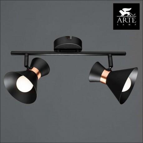  Arte Lamp Baltimore A1406AP-2BK